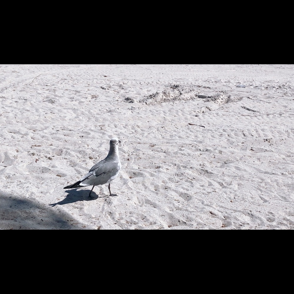 Meet your Posher, Nubi